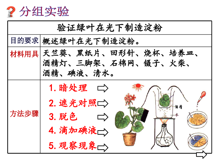 济南版 七年级上册 第三节 绿色植物的光合作用课件（ 共20张PPT）
