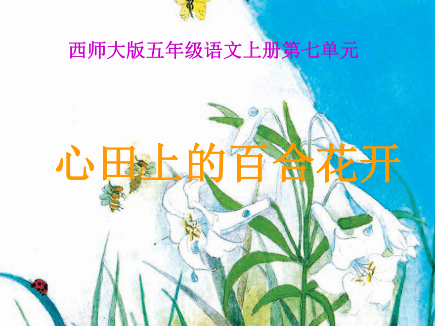 语文五年级上西师大版7.28《心田上的百合花》课件