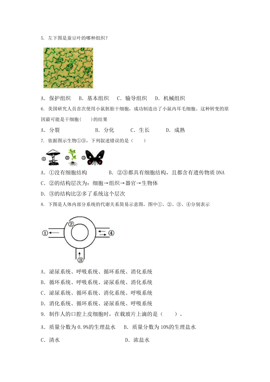 广西钦州市钦州港区2016-2017学年七年级12月月考生物试卷（含答案）