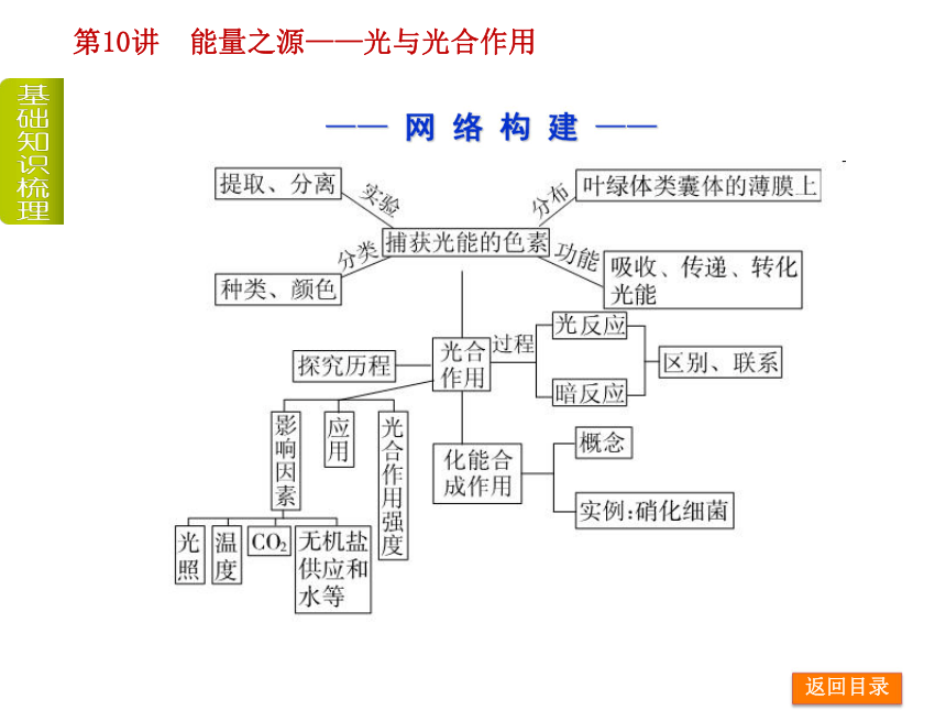 光合作用思维导图简短图片