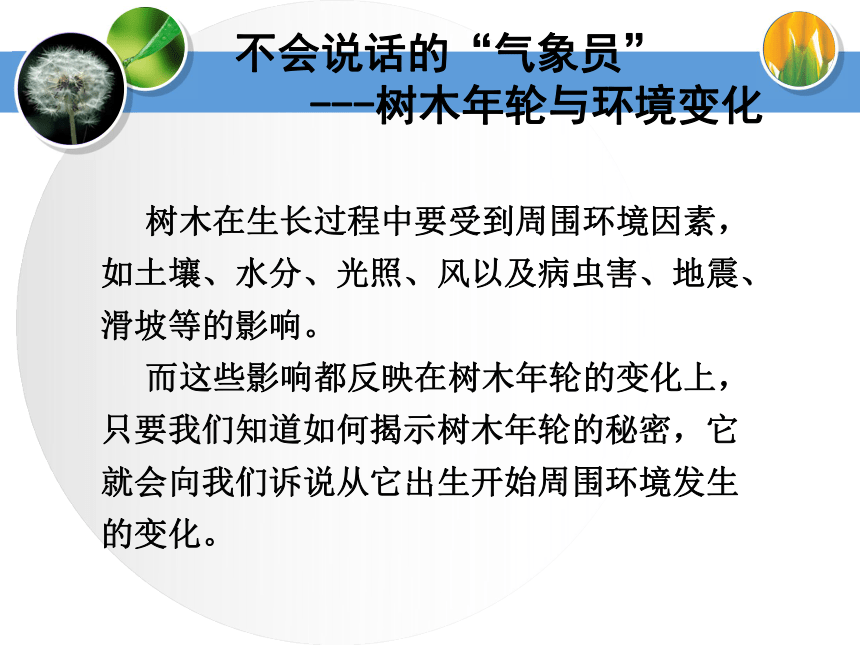 5-2 科学自己做_我也能成功 课件