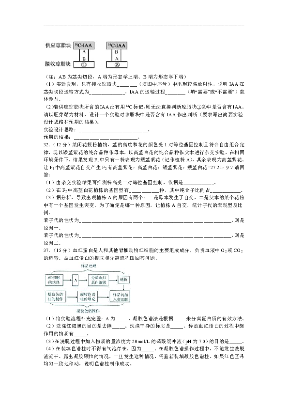 四川省叙州二中2020届高三下学期第二次高考适应性考试理综-生物试题