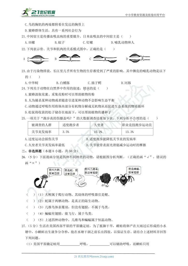 人教版八年级生物第一学期期中质量 测试卷（含答案）