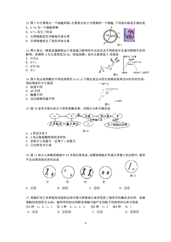 2019学年第二学期上海市奉贤区学科质量调研生物 （pdf）