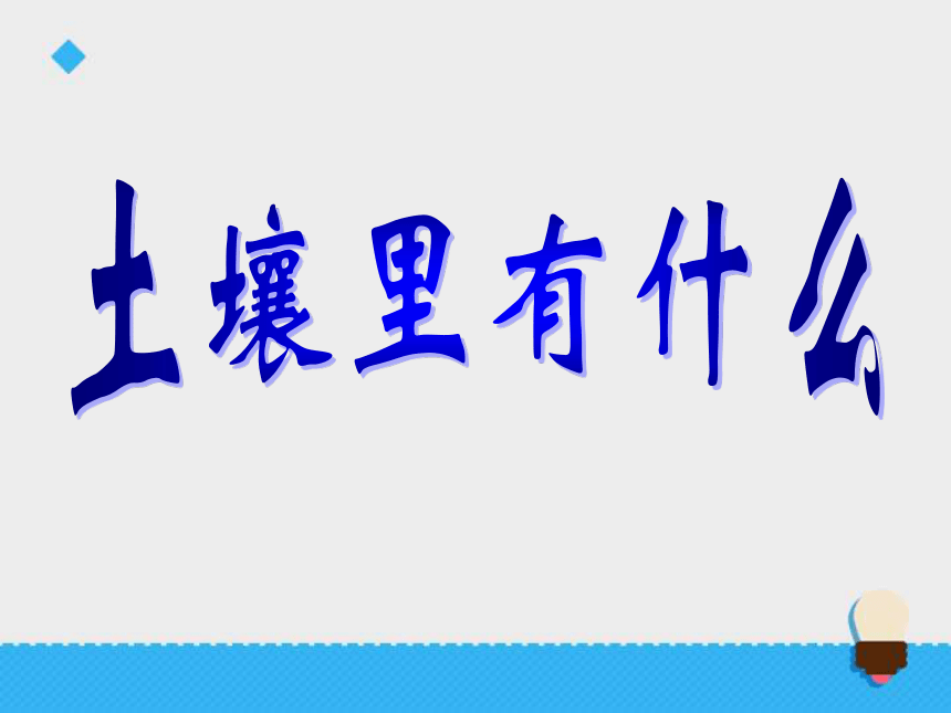 3.4《土壤中有什么》课件