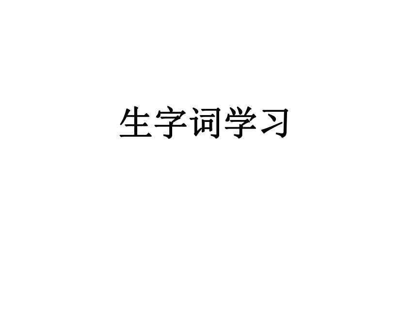 第3单元11 一本男孩子必读的书课件