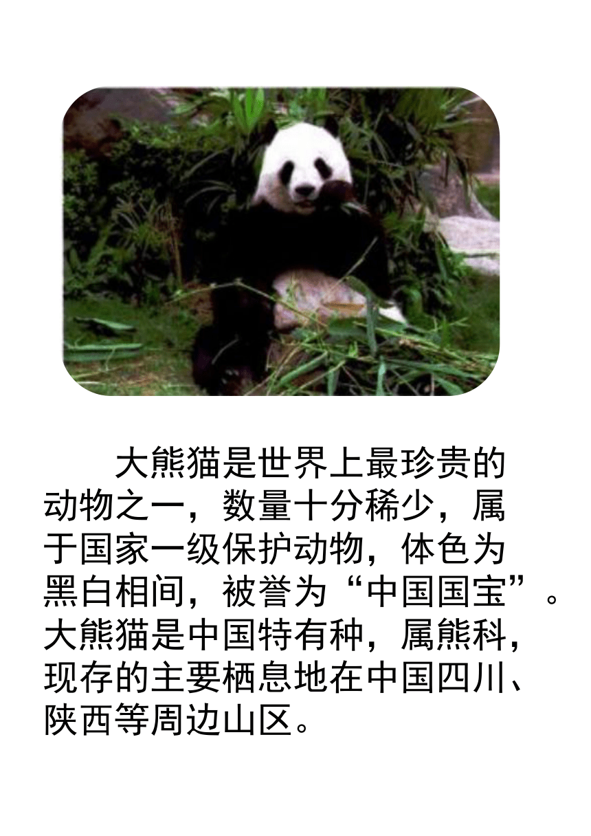 中国珍稀动物资料图片