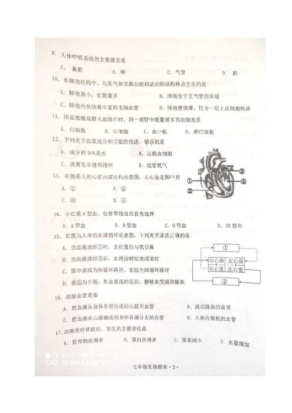 广东省恩平市2019-2020学年七年级下学期期末考试生物试题（图片版，含答案）