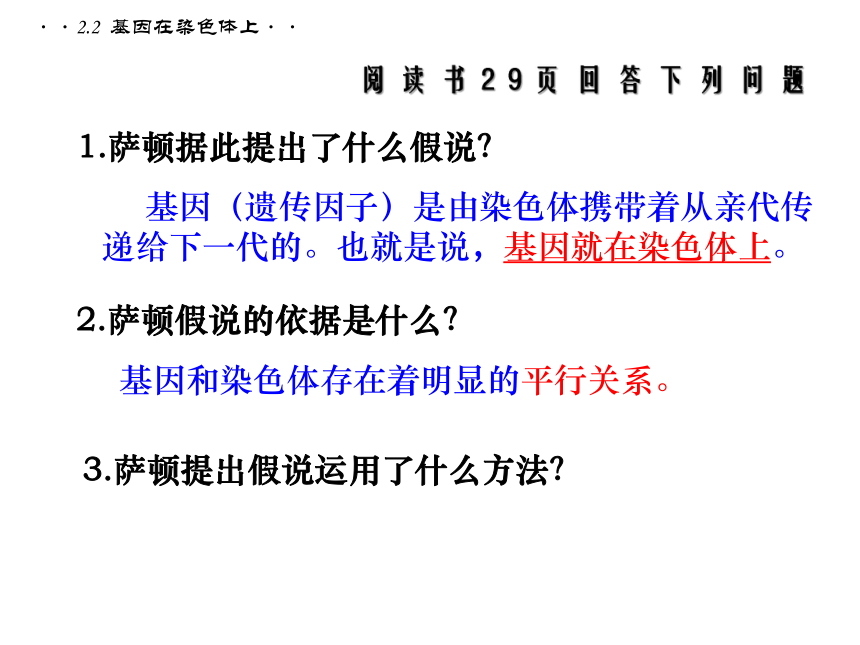 2020-2021学年高一生物人教版必修二2.2  基因在染色体上课件（33张ppt）