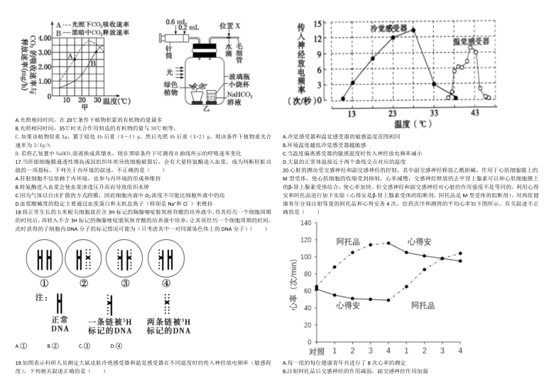 河北省衡水第一高中2021届高三上学期期中考试生物试卷     含答案