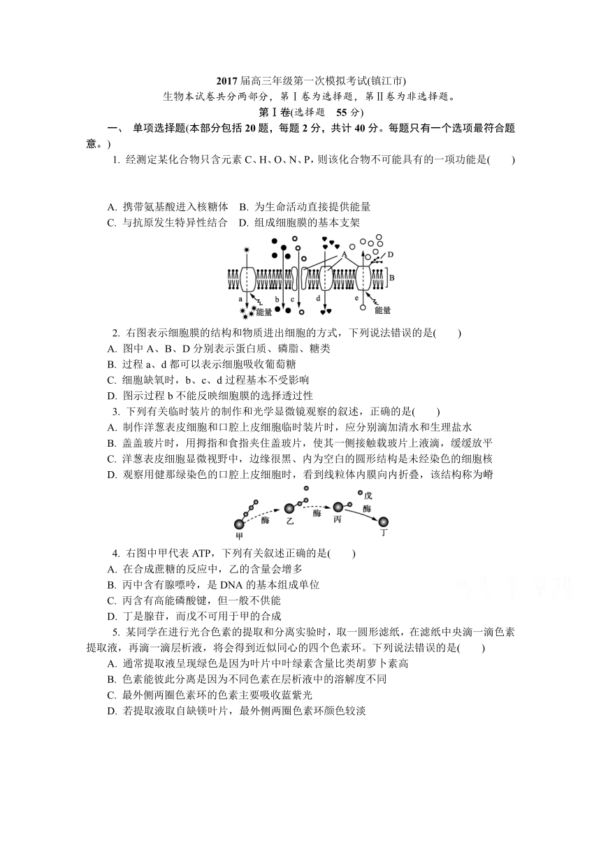 江苏省镇江市2017届高三上学期第一次模拟生物试卷 Word版含答案