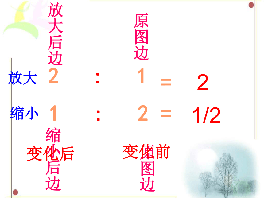 数学六年级上浙教版1.4图形的放大与缩小课件(31张)