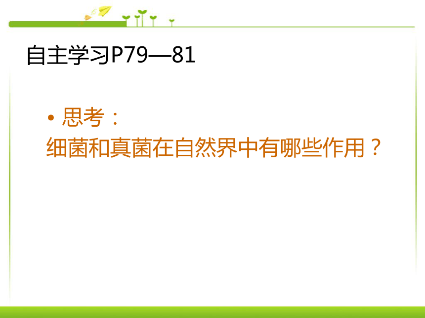 5.4.4 细菌和真菌的作用 课件          (共42张PPT)