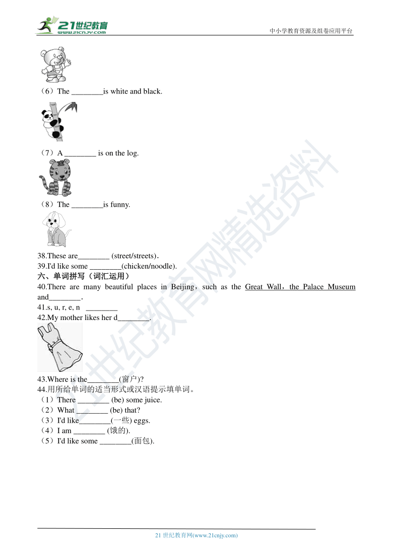 小升初英语专项训练 名词 通用版（含答案解析）