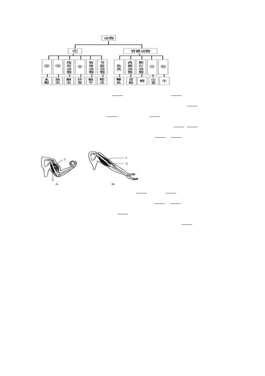 贵州省黔西南州望谟县乡镇中学联考2016-2017学年八年级（上）期末生物试卷（解析版）