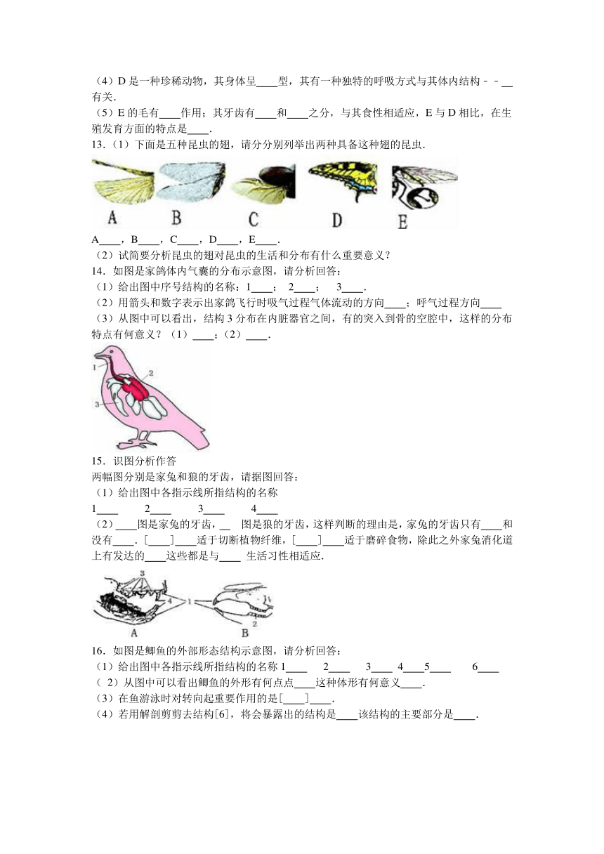 青海省西宁市2016-2017学年八年级（上）第一次月考生物试卷（解析版）