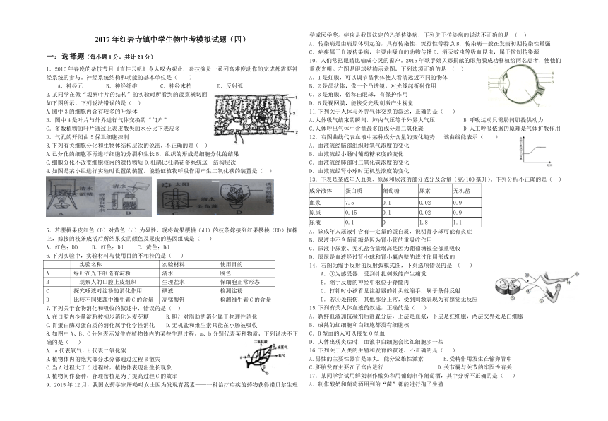 2017年红岩寺镇中学生物中考模拟试题（四）无答案