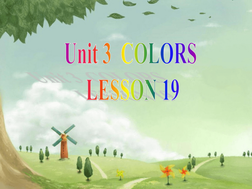 Unit 3 Colors Lesson 19 课件