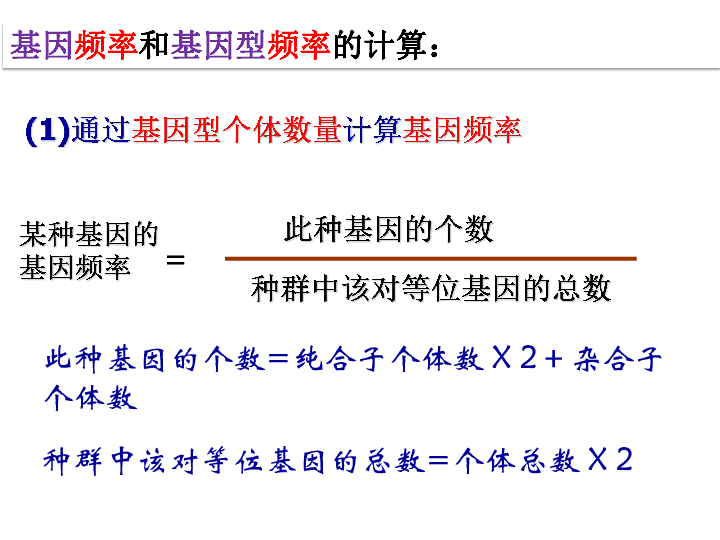 高中生物人教版必修2第七章一 种群基因频率的改变与生物进化 (共18张PPT)