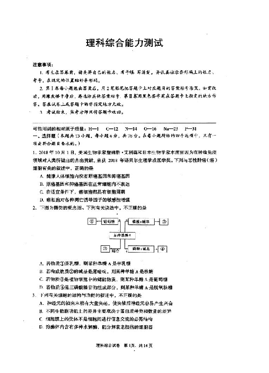 湖北省荆州市2019届高三上学期质量检查（一）理科综合（扫描版含答案）