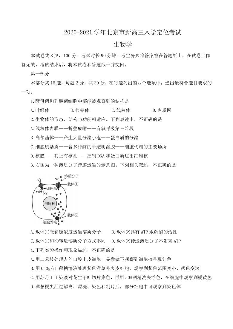 北京市2021届高三入学定位考试生物试题