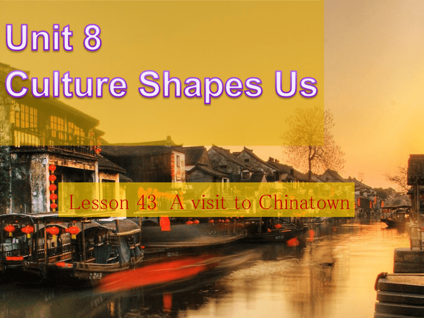 Unit 8 Culture Shapes Us.Lesson 43 A Visit to Chinatown.课件