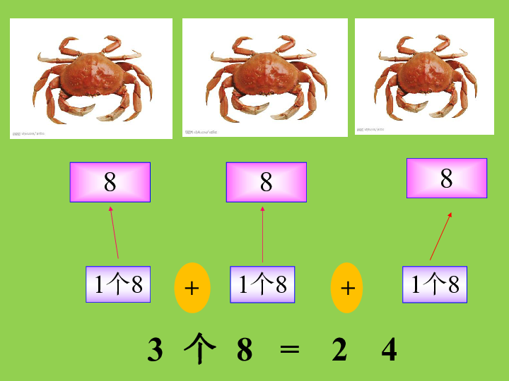 小学数学人教版二年级上册6.2《8的乘法口诀》 (课件18张ppt)