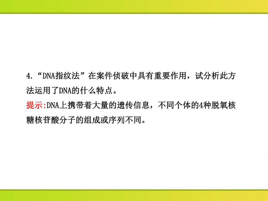 高中生物课时讲练通配套课件：2.2.3《核酸的结构和功能》（苏教版必修1）