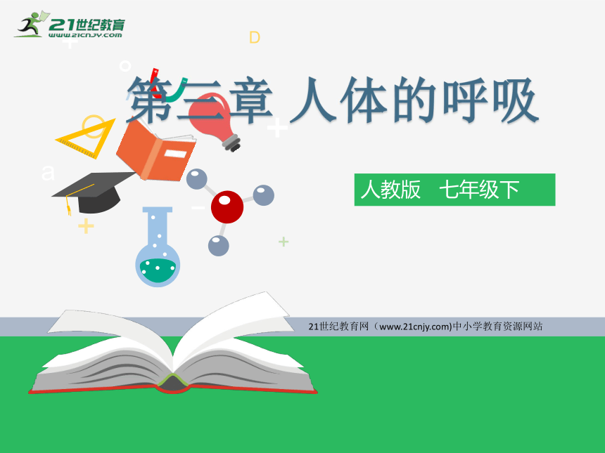 2018年广东省生物会考 七年级下册复习课件 第三章（课件）