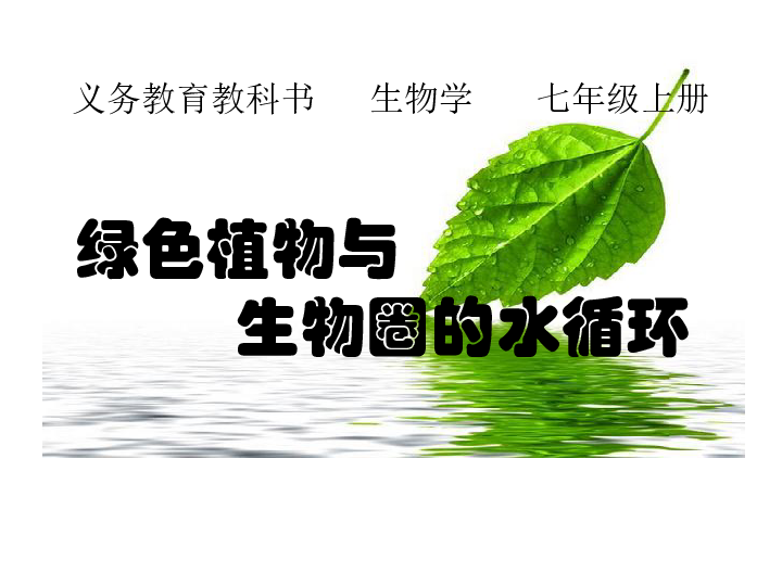 3.3绿色植物与生物圈的水循环课件(共32张ppt)
