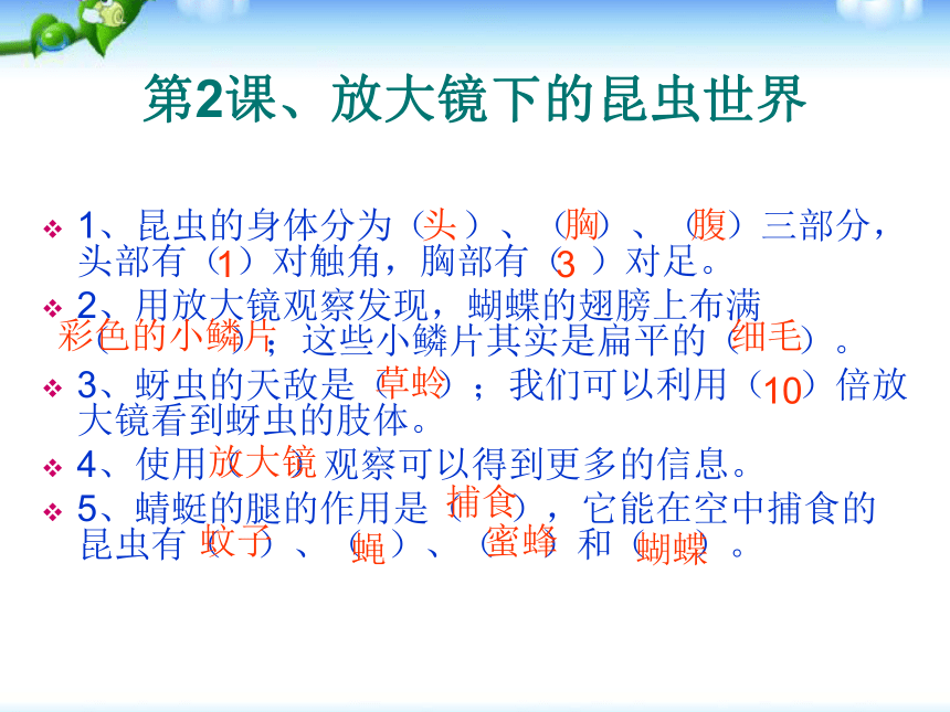 2018年教科版六年级下册科学总复习PPT全册资料 课件