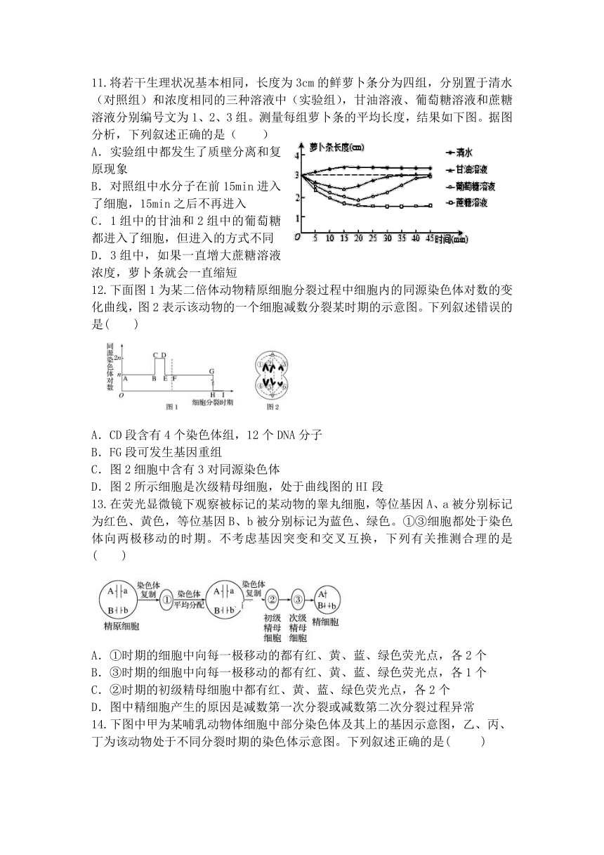 辽宁省凤城市第一中学2020届高三上学期第一次月考生物试卷