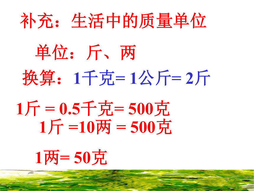 人教版物理八年级上册6.1质量