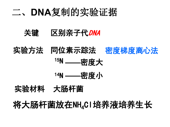 人教版高中生物必修二课件：3.3 DNA的复制 (共27张PPT)