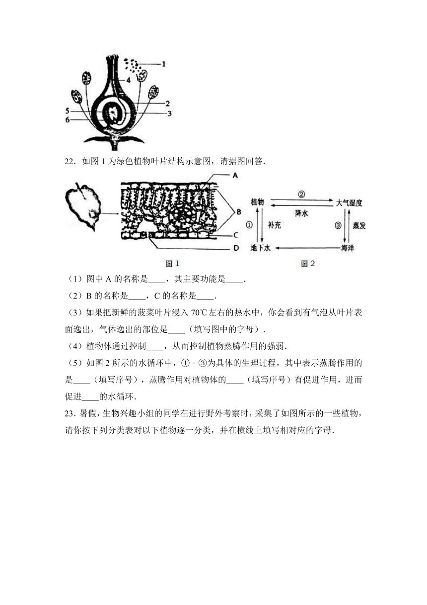 天津市红桥区2016-2017学年七年级（上）期末生物试卷（解析版）