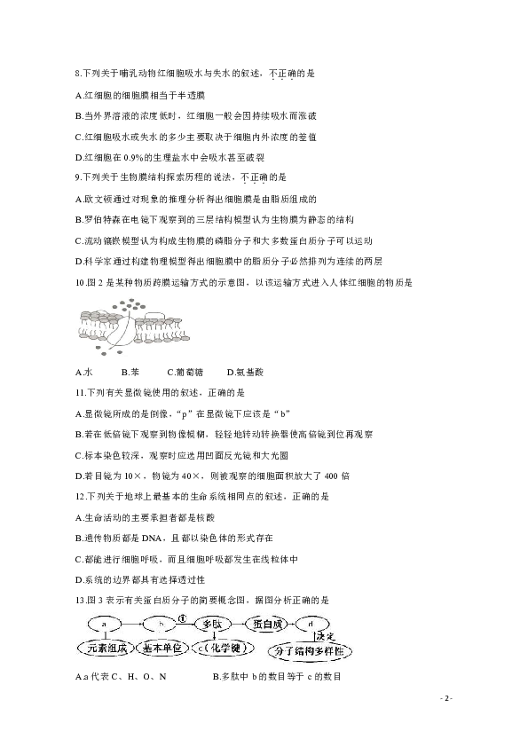 江西省赣州市十五县（市）2019-2020学年高二上学期期中考试 生物
