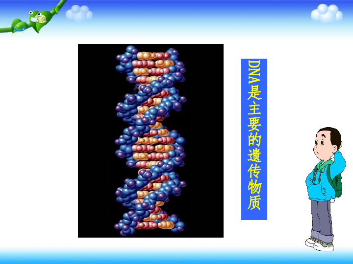 高中生物人教版必修2 第三章 基因的本质  第1节 DNA是主要的遗传物质（65张PPT）