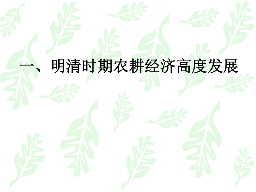 近代前夜的发展与迟滞