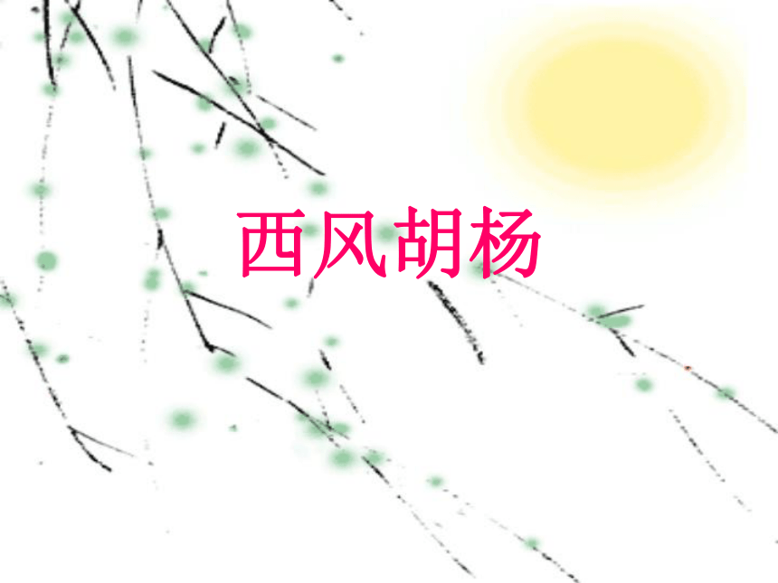 《西风胡杨》课件