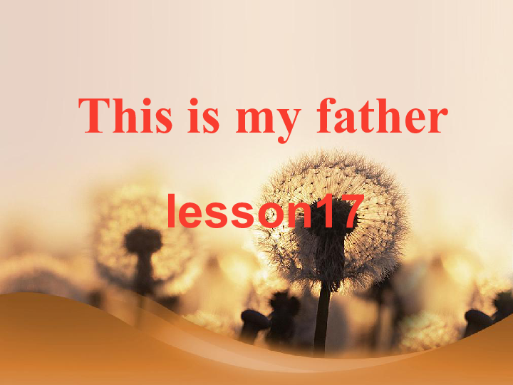 Unit 3 This is my father. Lesson 17 课件(17张PPT)