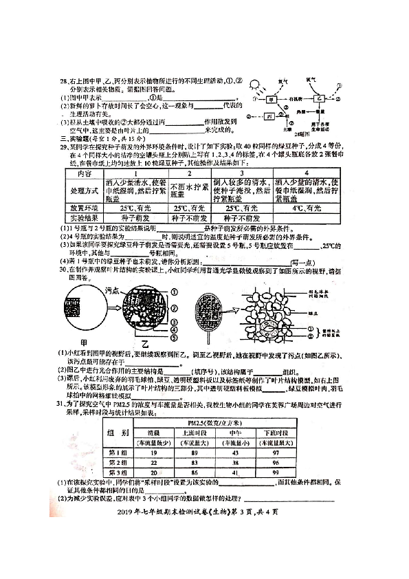 湖南省邵阳县2019-2020学年第一学期七年级生物期末试题（扫描版，含答案）