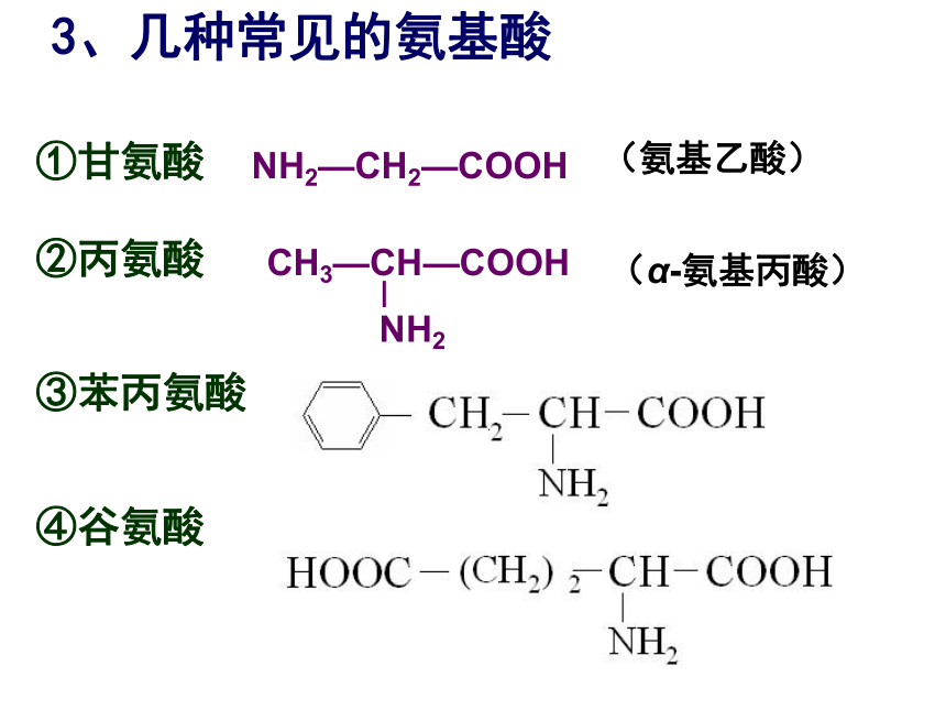 《蛋白质 核酸》课件 (共59张PPT)