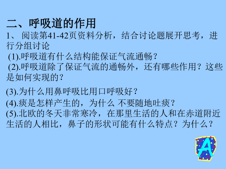 431呼吸道對空氣的處理課件共35張ppt