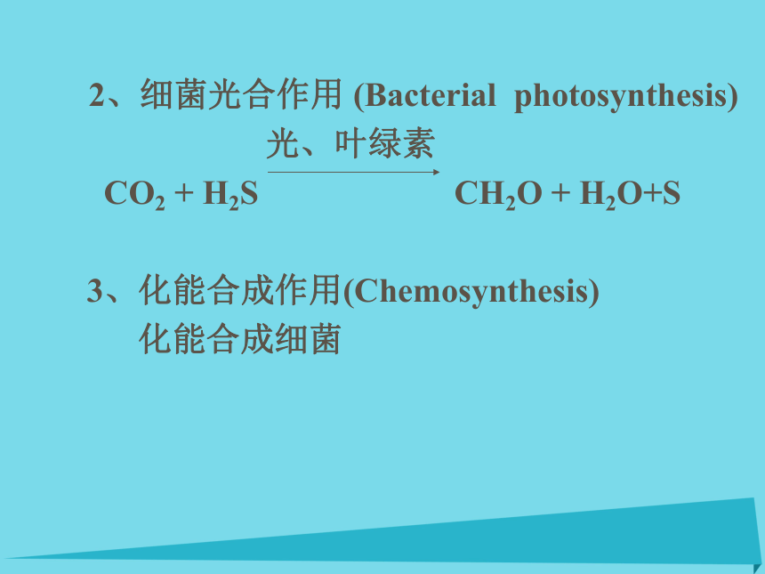 2017六年级科学上册第一章第3课植物的光合作用课件新人教版