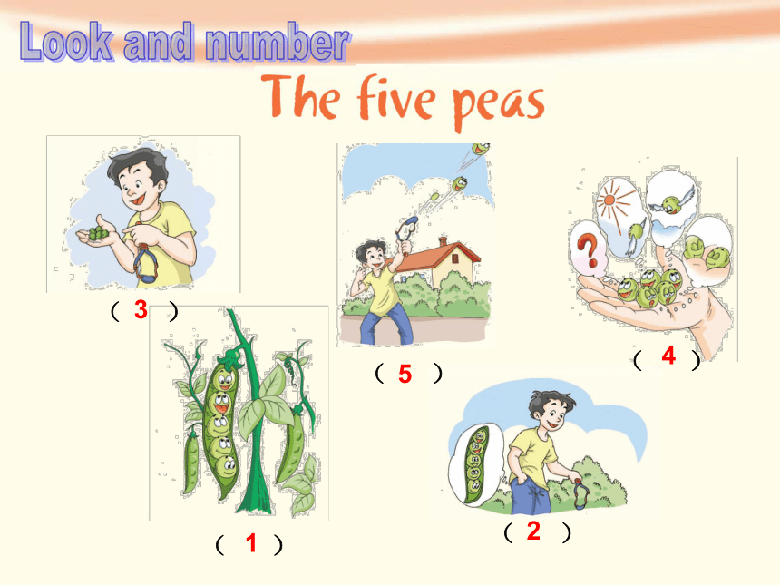 Unit 12 The five peas 第三课时课件