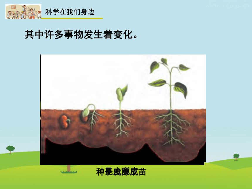 浙教版七年级科学上册课件1.1科学并不神秘