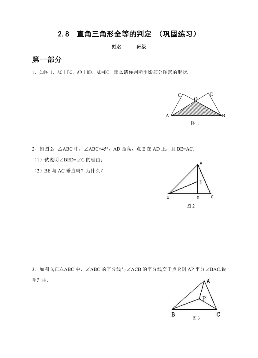 八年级数学上册2.8直角三角形的全等判定同步练习（含答案）