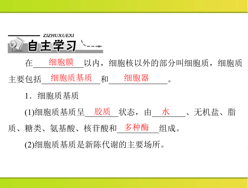 2013年《随堂优化训练》第3章第2节细胞器——系统内的分工合作