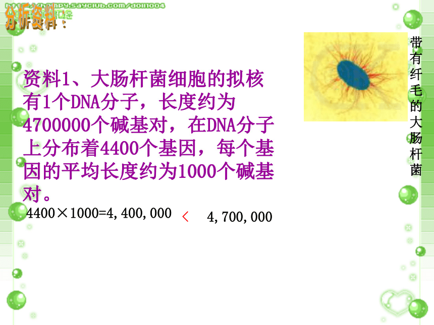 人教版高中生物必修二第三章第四节 基因是具有遗传效应的DNA片段（共18张PPT）