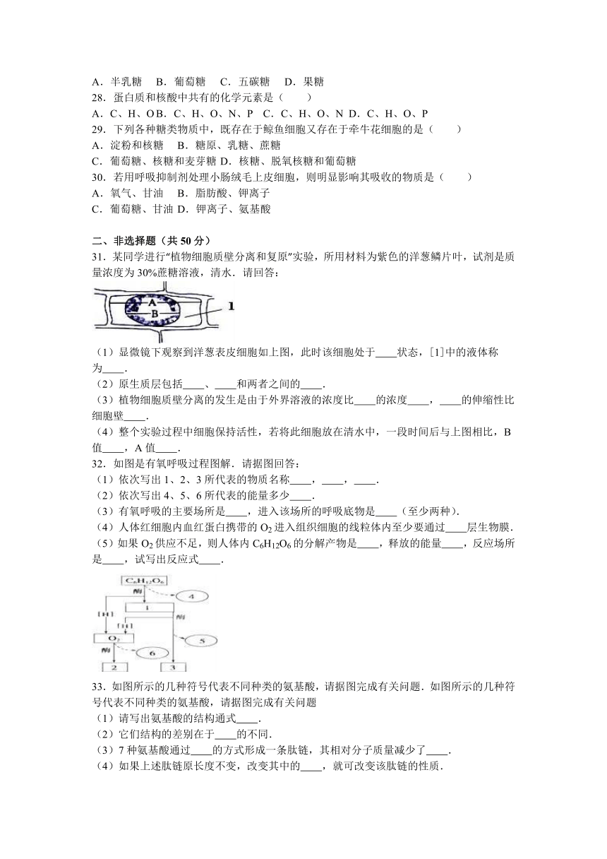 湖南省株洲市茶陵三中2016-2017学年高一（上）第三次月考生物试卷（解析版）